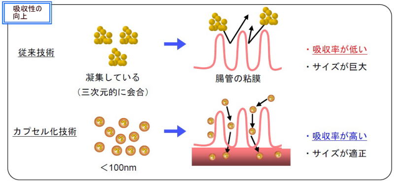 吸収性の向上のイメージ図