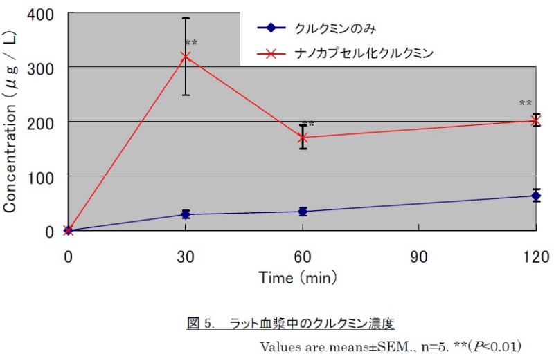 ラット血漿中のクルクミン濃度の実験
