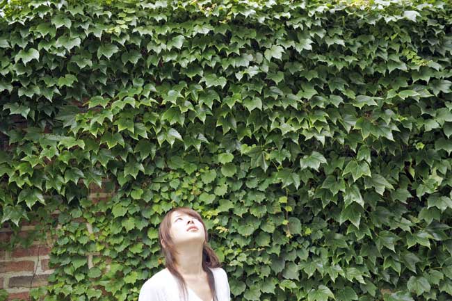 βグルカンの未来と可能性