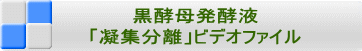 黒酵母発酵液 「凝集分離」ビデオファイル
