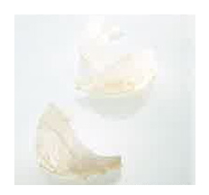 最高級品のツバメの巣