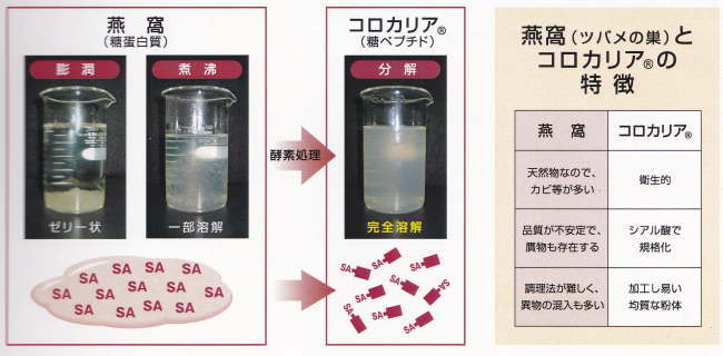コロカリア-水溶性・低分子のツバメの巣