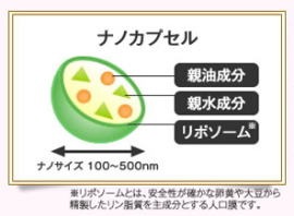ナノカプセルのイメージ