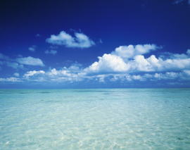 医家向に開発された高純度フコイダンエキス