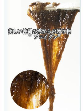 お薦め同時摂取製品 フコイダン