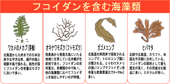フコイダンを含む渇藻類