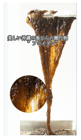 沖縄モズク由来フコイダン