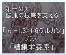 吸収の良い&beta;グルカンと糖鎖の同時摂取