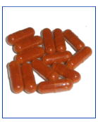 Vital-fucoxanthin Trust サンプルイメージ