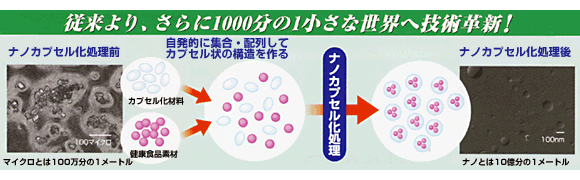ナノカプセル処理-概要図