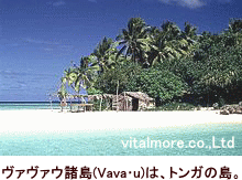 トンガ王国-ヴィヴィア諸島